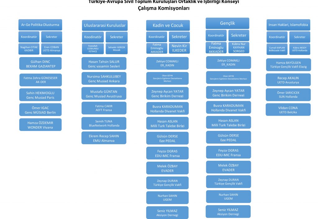Microsoft Word - TR-AB Konsey Calisma Komisyonlari .docx